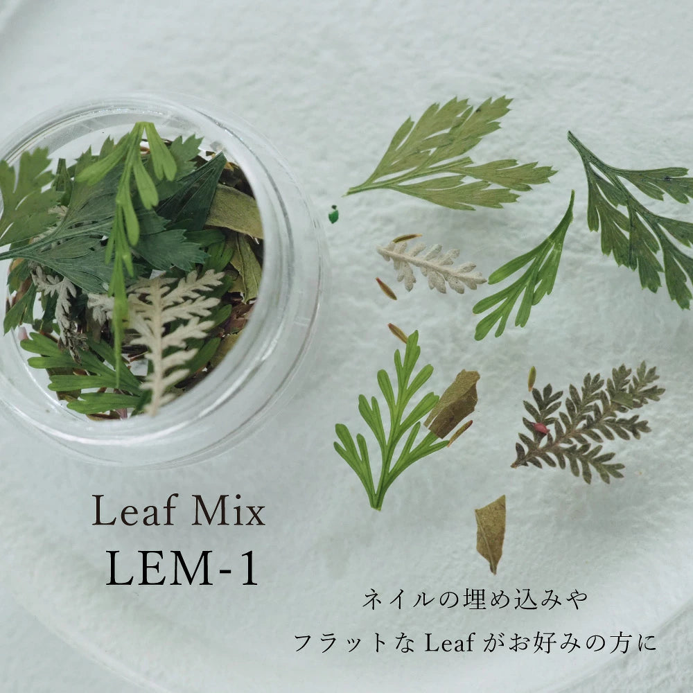 SMint - Leaf Mix (2 types)