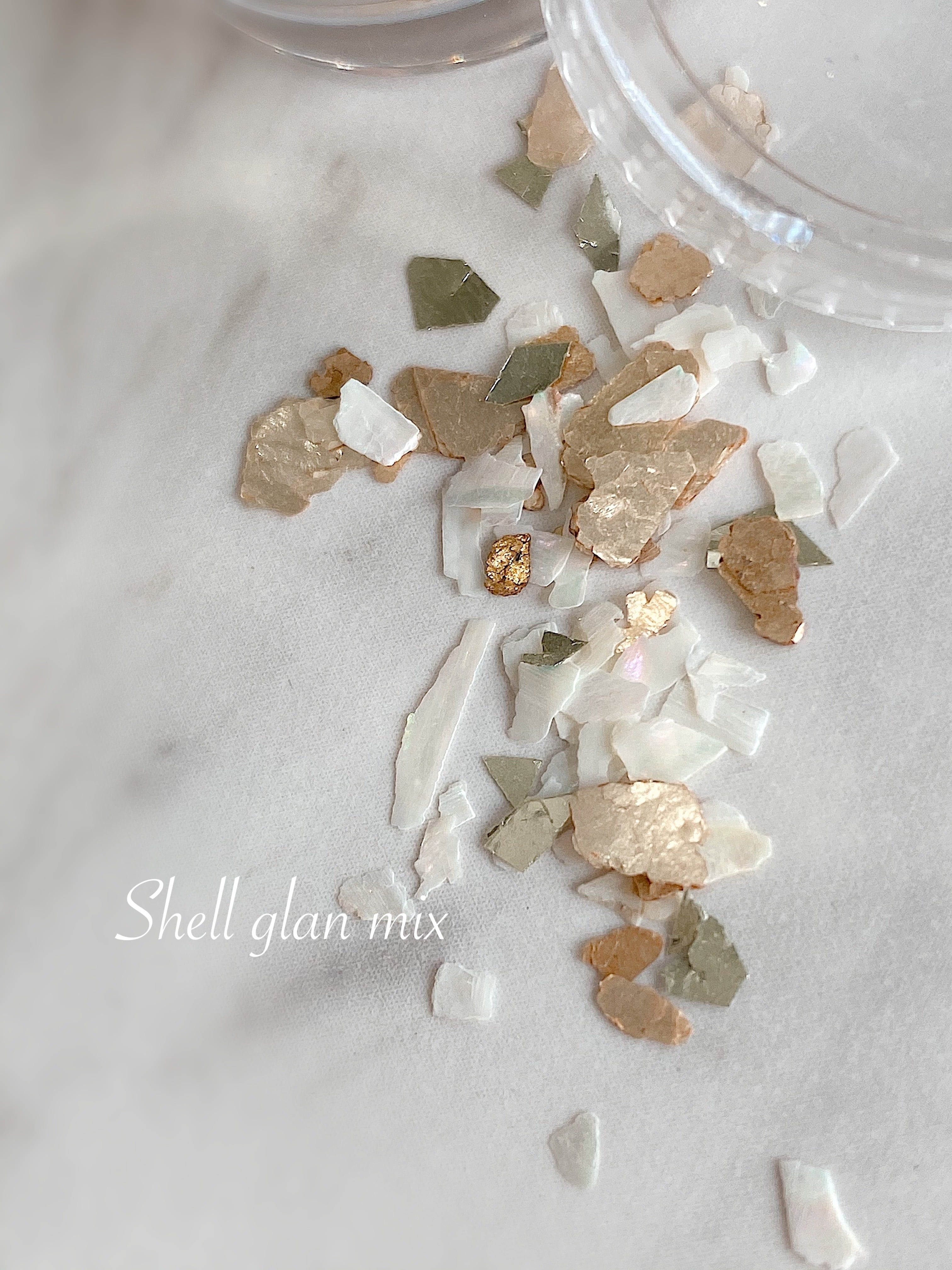 Atelier Novel - S428 Shell Gran Mix