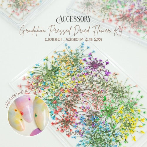 DIAMI Gradation Pressed Dried Flower Kit