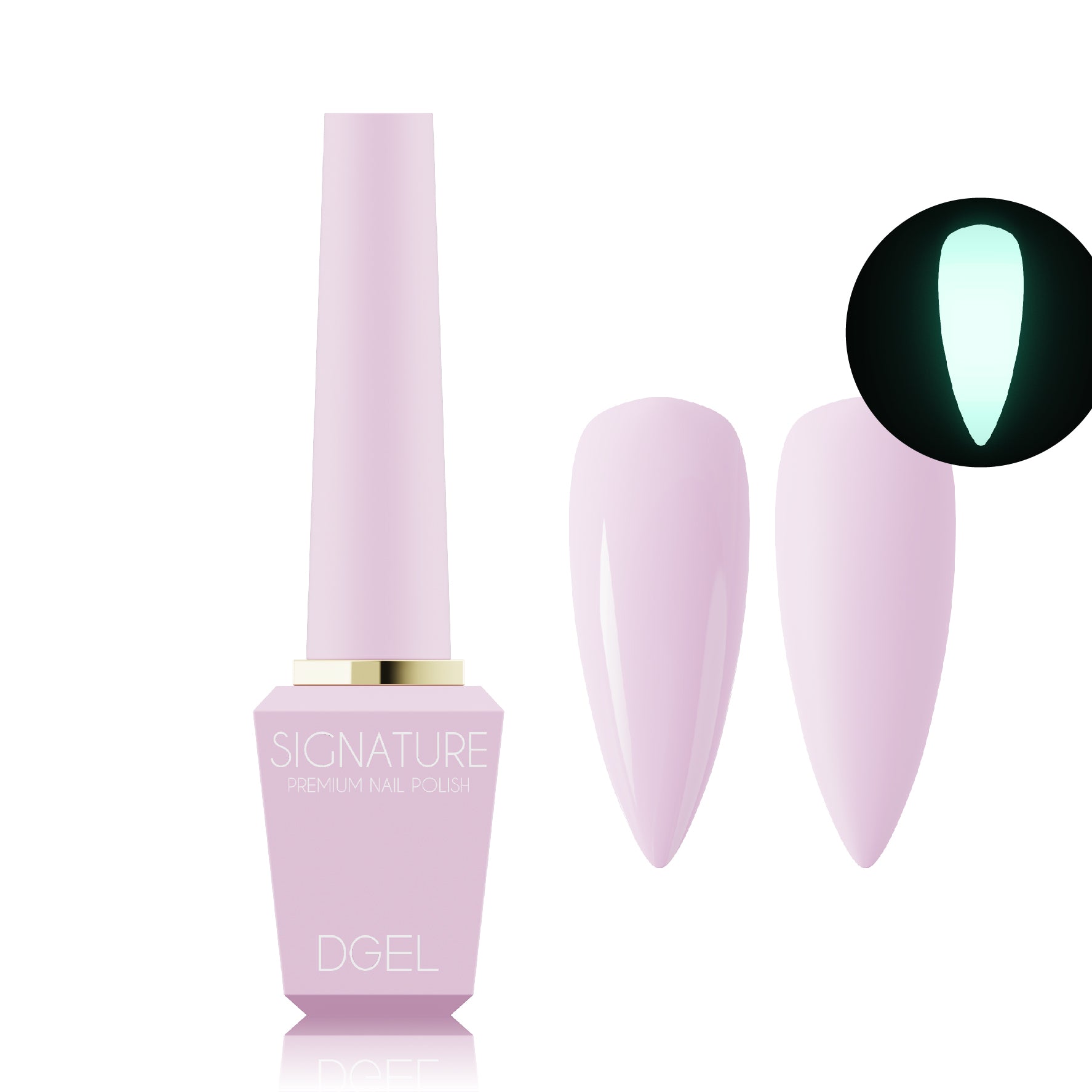 DGEL Signature Rabbit Hole Collection (Individual Colors/Set)