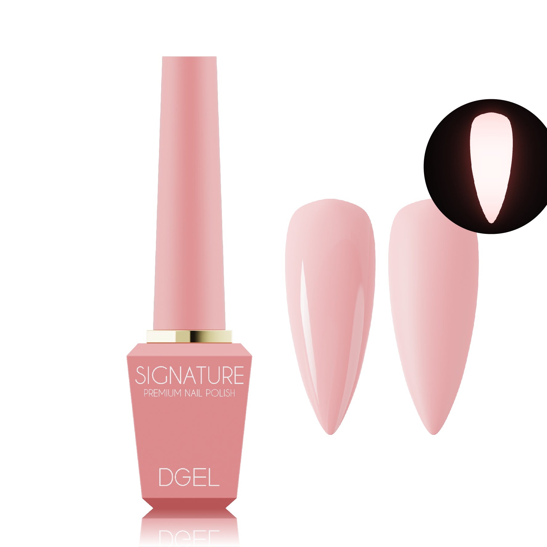 DGEL Signature Rabbit Hole Collection (Individual Colors/Set)