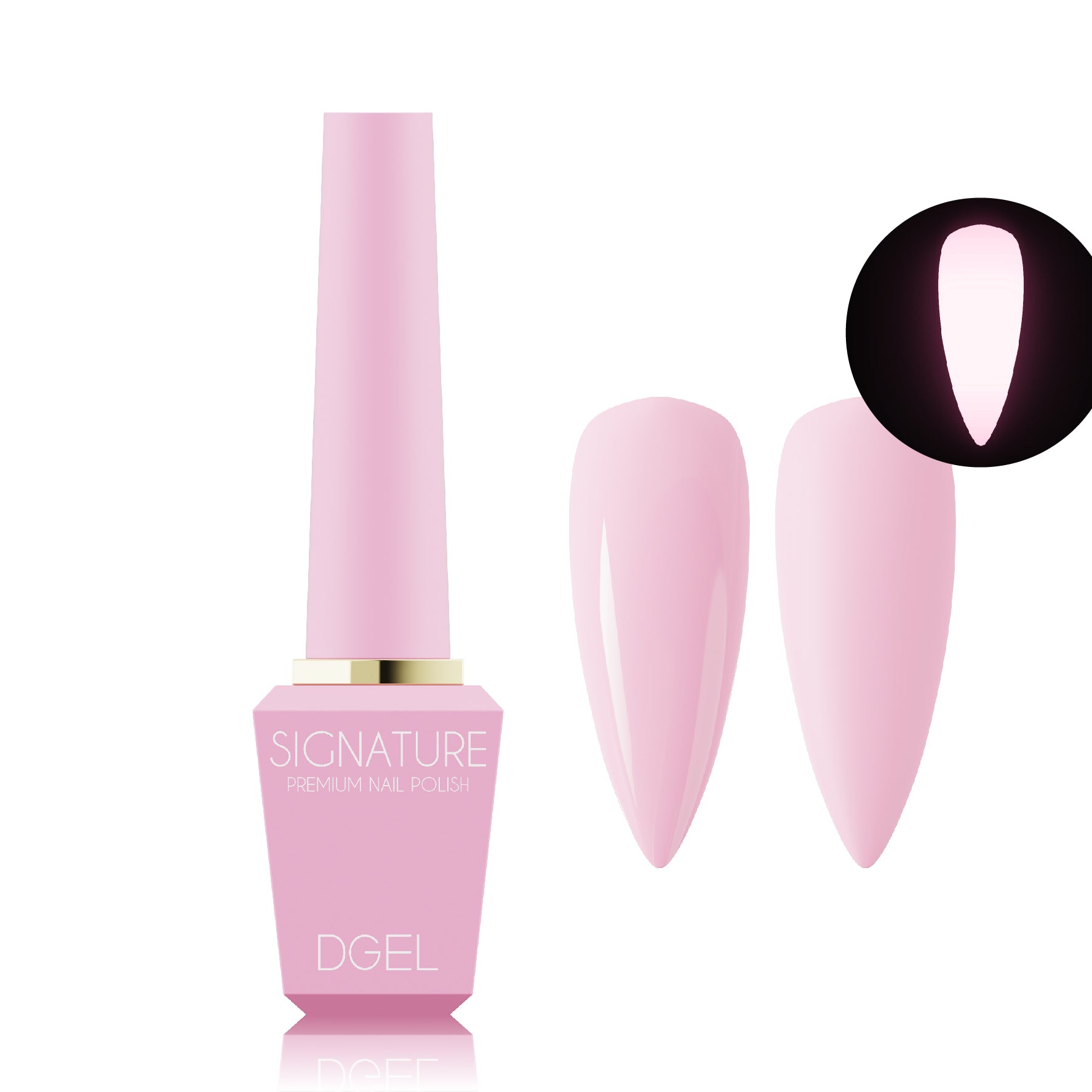 DGEL Signature Rabbit Hole Collection (Individual Colors/Set)