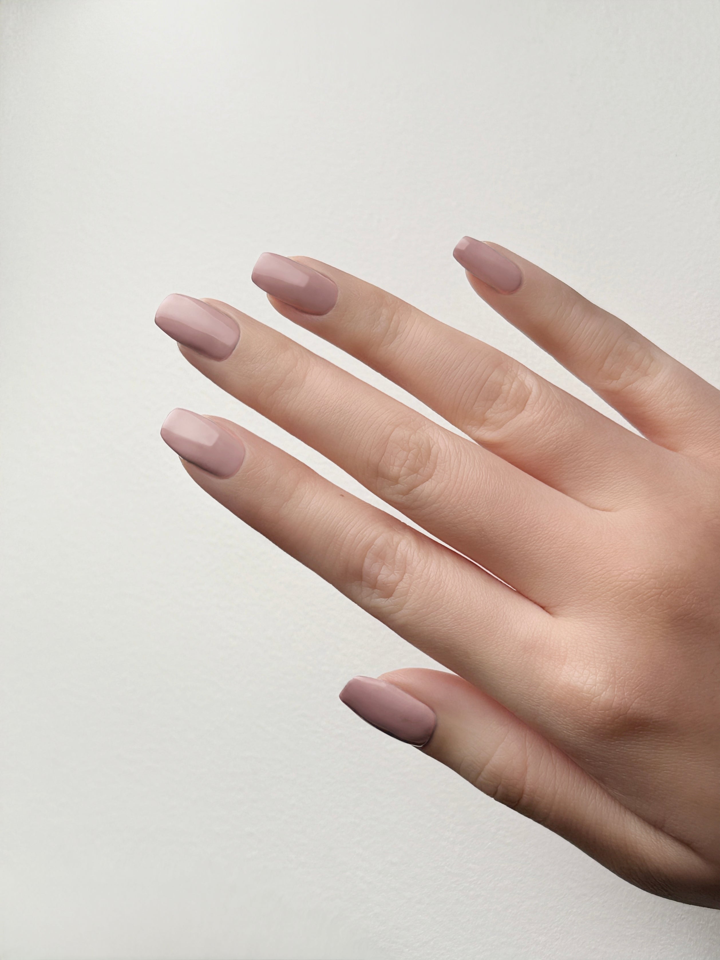 BANDI - Holiday Ultra Nature Winter Collection