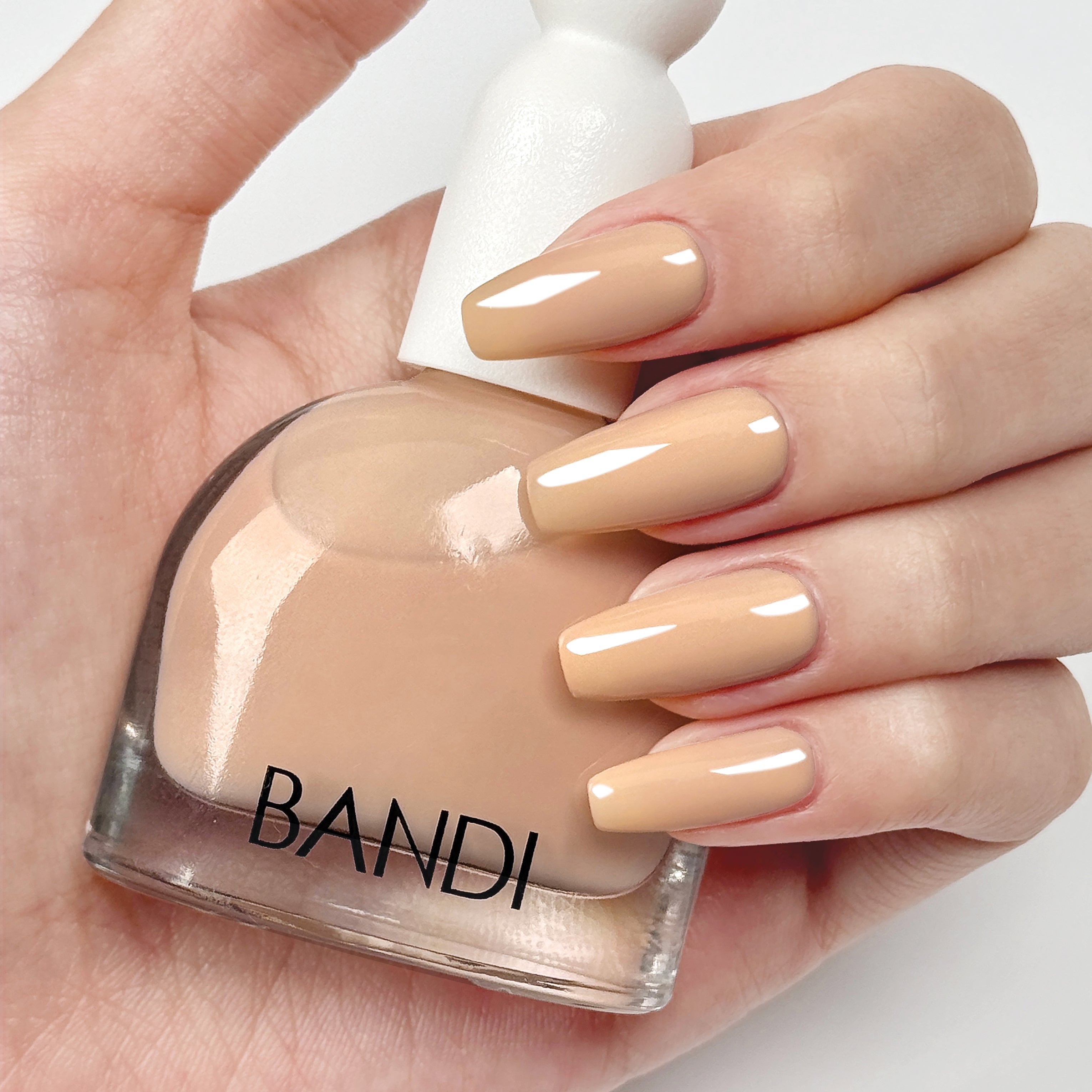 BANDI - Unicorn Pastel Ultra Nature Collection