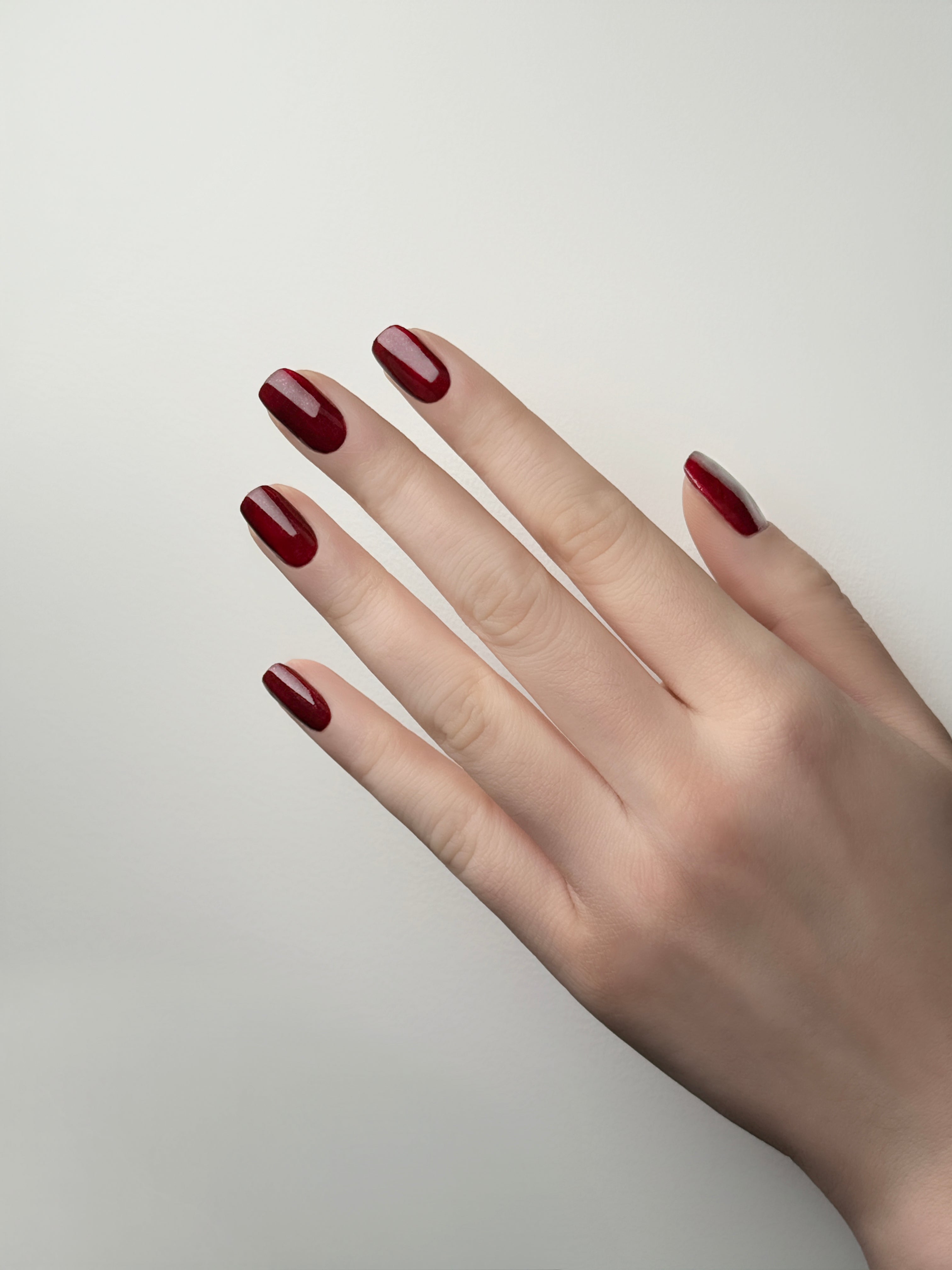 BANDI - Holiday Ultra Nature Winter Collection