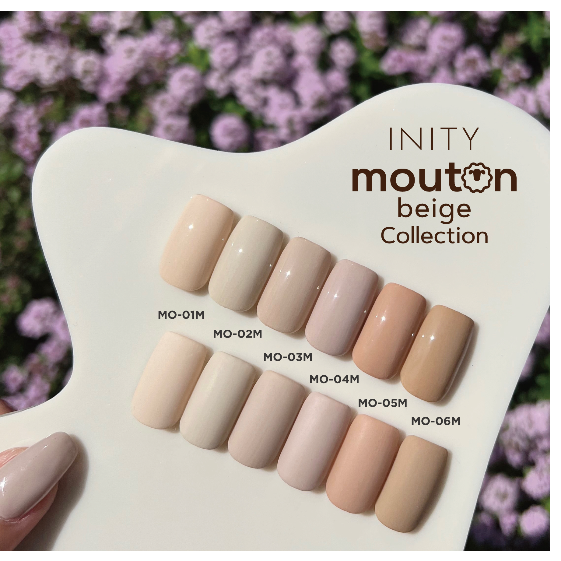 INITY - Mouton Beige Collection