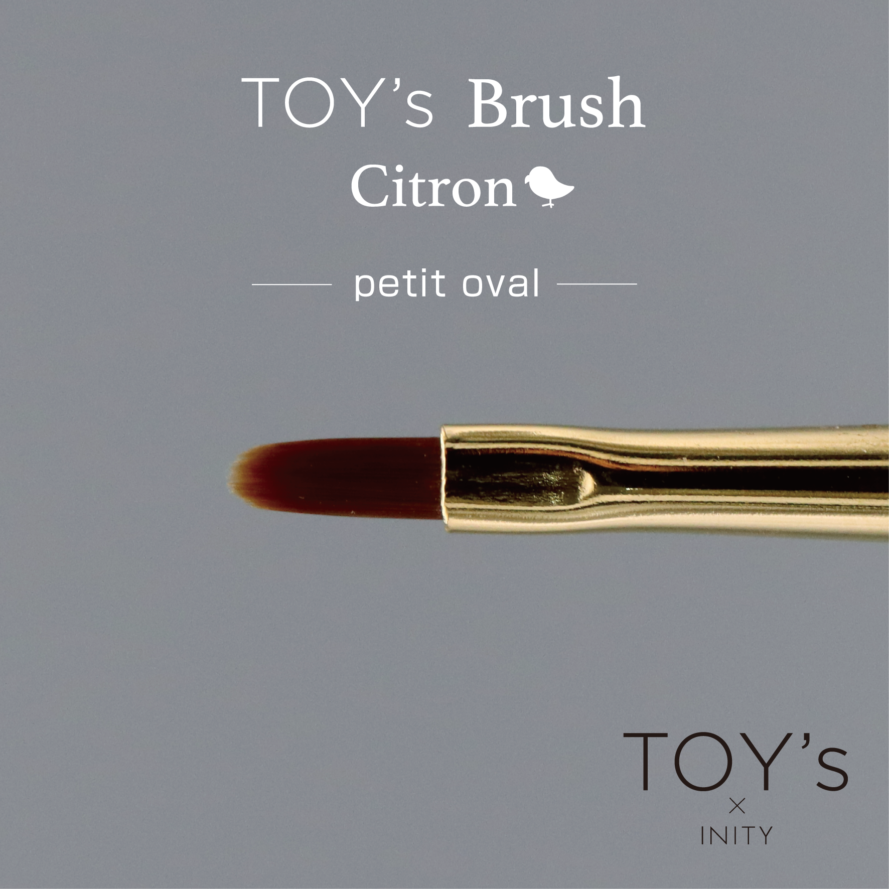 TOY's - Citron Brushes