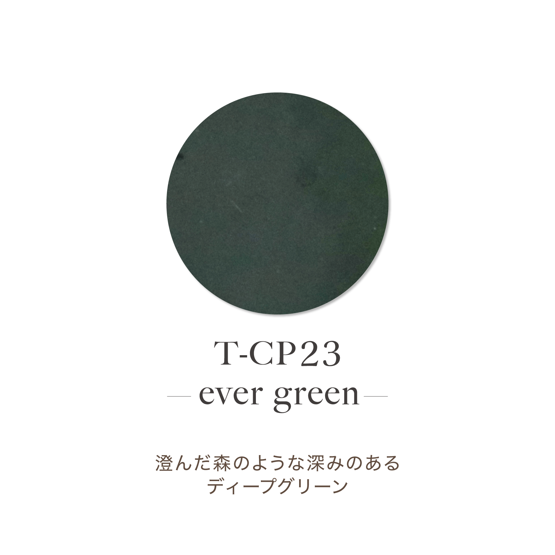TOY's - Olime Acrylic Powder Collection