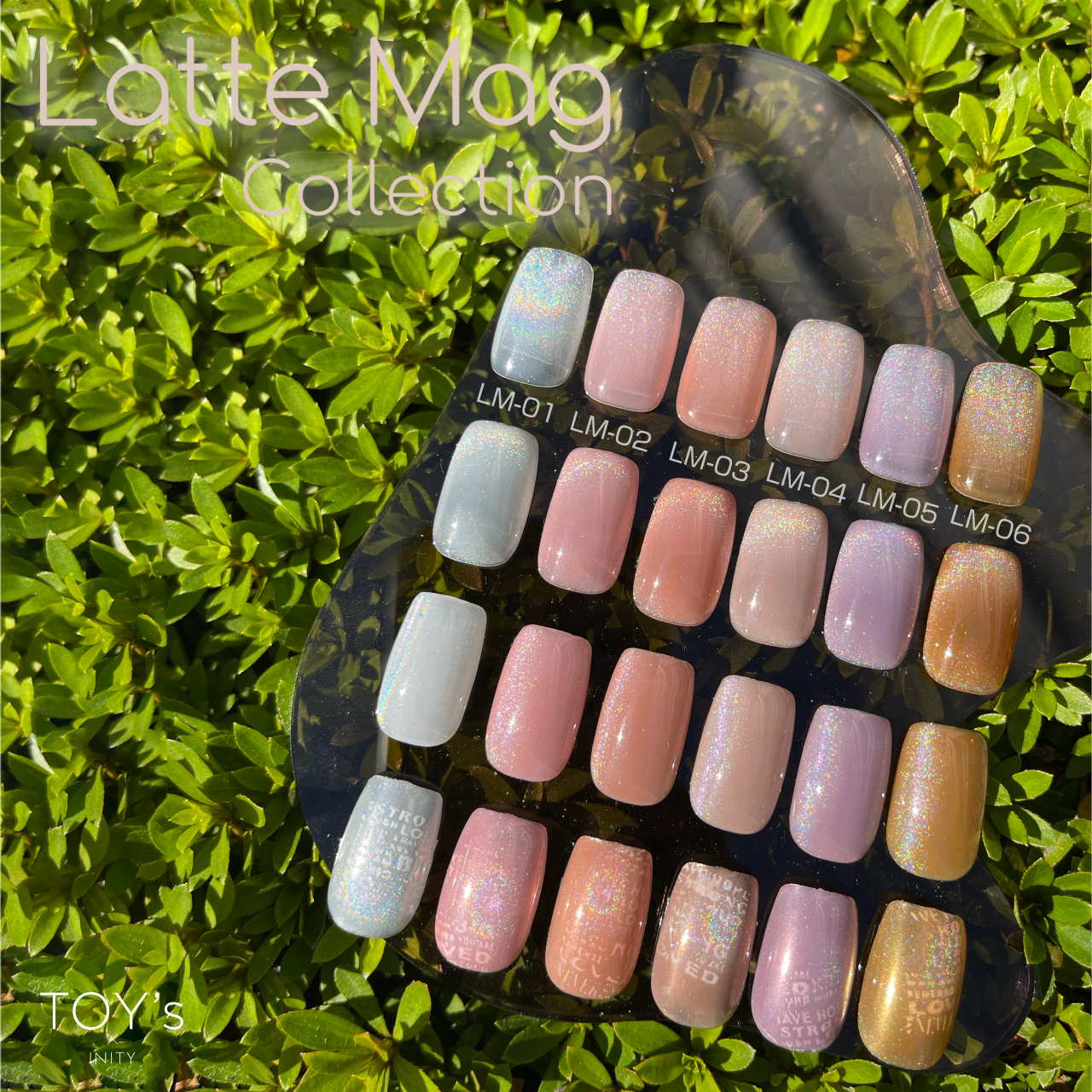 TOY's - Latte Mag Collection (discontinued)