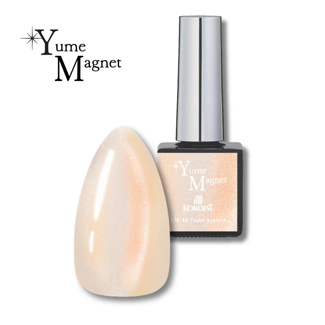 KOKOIST Yume Magnet 41〜46 Kokoist - Yume Magnet YM-46 Yume Apricot