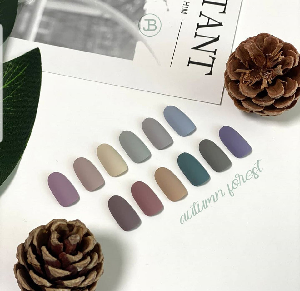 JIN.B Ivy Autumn Forest 12pc Collection