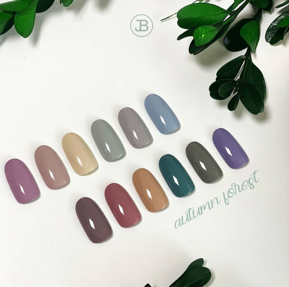 JIN.B Ivy Autumn Forest 12pc Collection