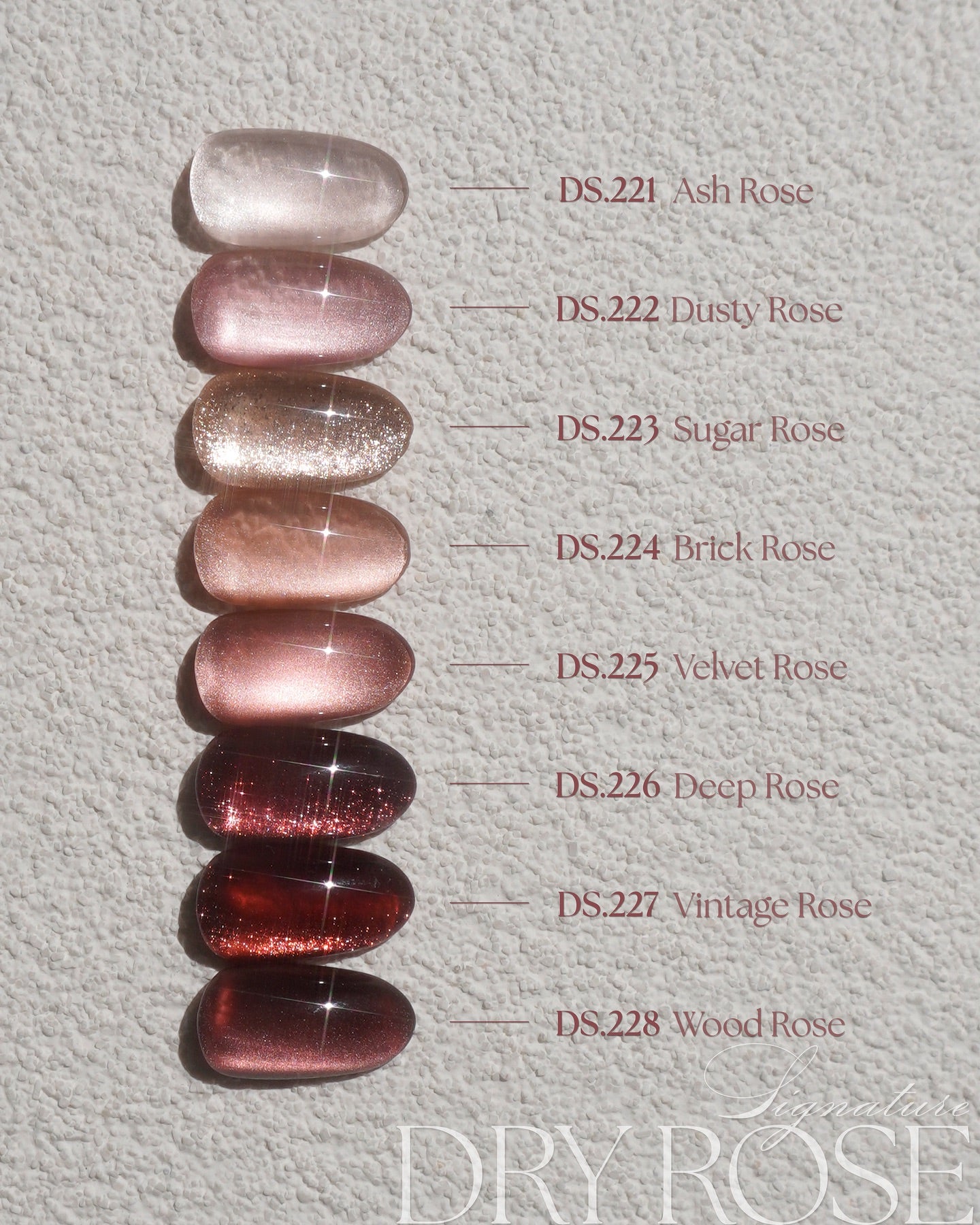 DGEL Signature Dry Rose Collection (Individual Colors/Set)