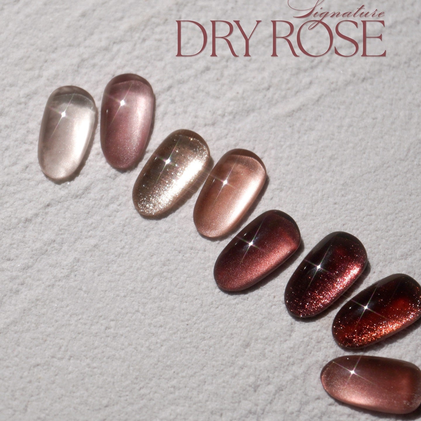 DGEL Signature Dry Rose Collection (Individual Colors/Set)