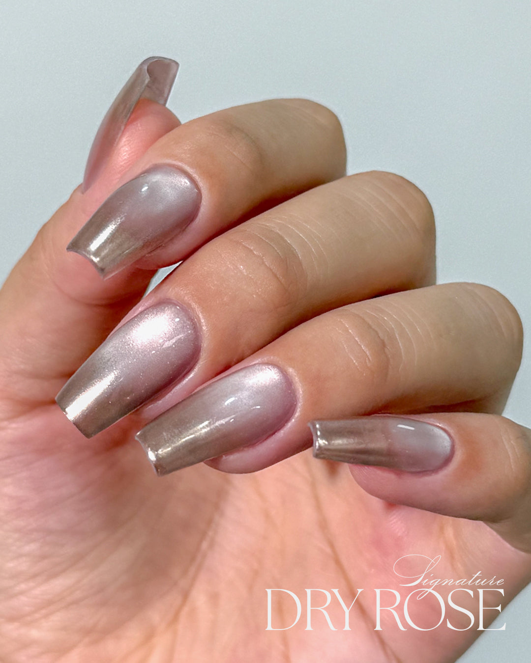 DGEL Signature Dry Rose Collection (Individual Colors/Set)