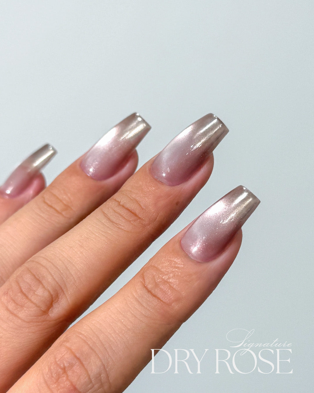 DGEL Signature Dry Rose Collection (Individual Colors/Set)