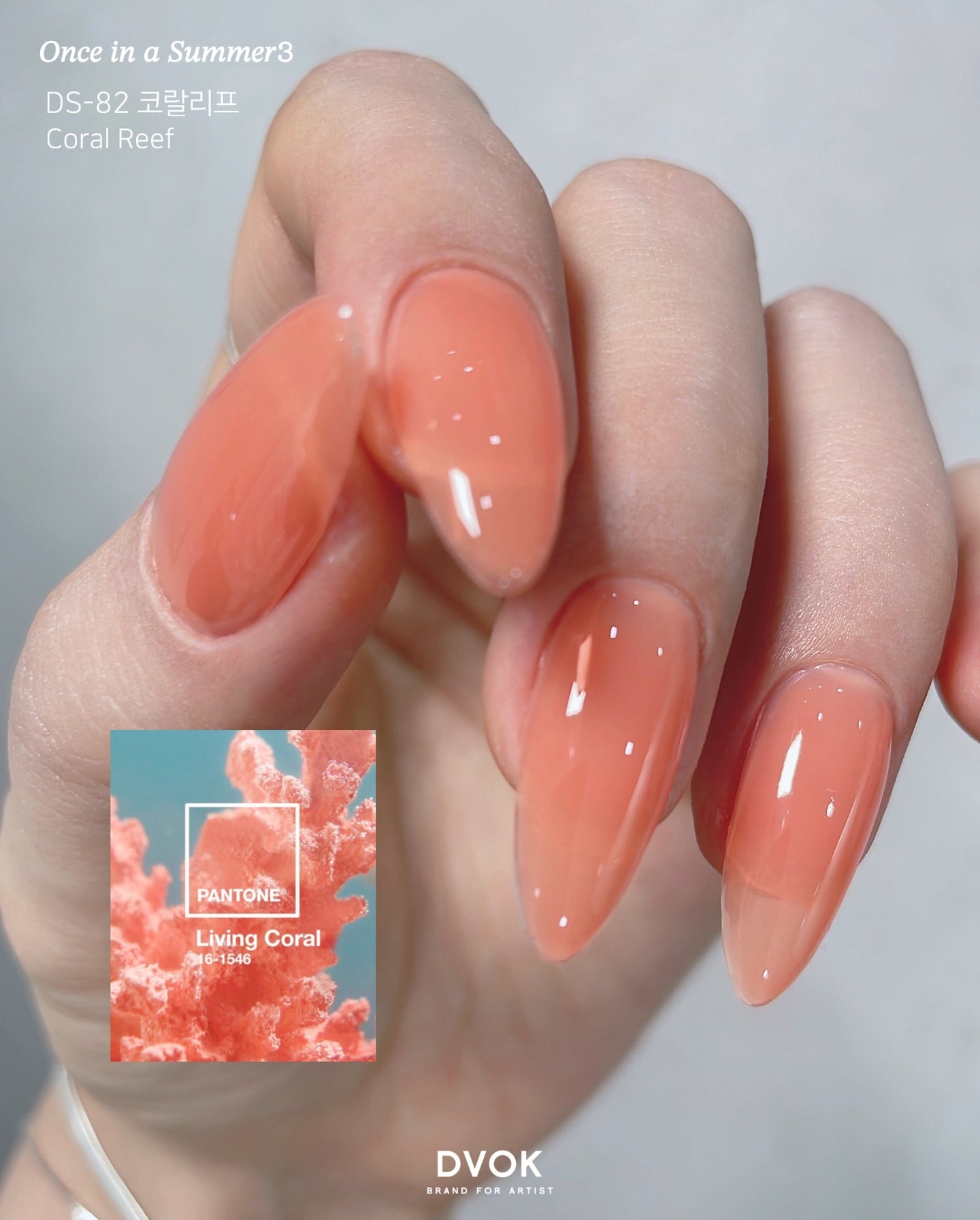 DVOK - DS82 (Coral Reef)