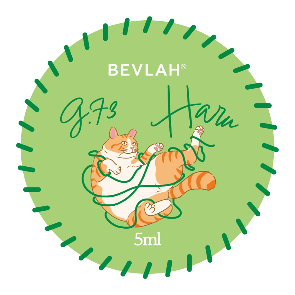 Belvah - Tricottage (G.70-G.78)
