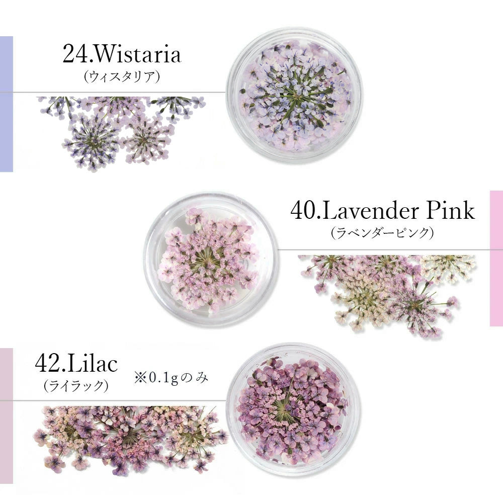SMint - Lace Flower #24 Wistaria