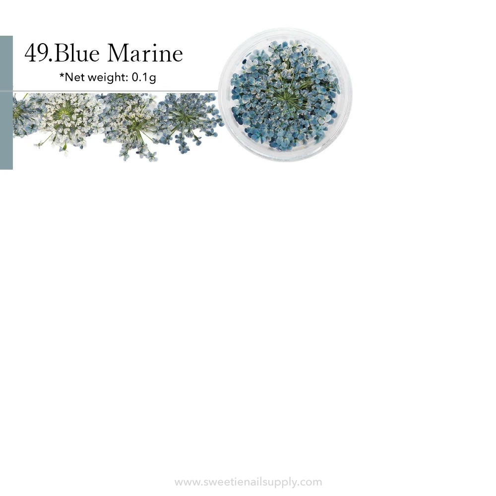 SMint - Lace Flower #49 Blue Marine