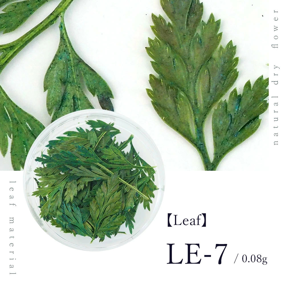 SMint - Leaf (LE-7)