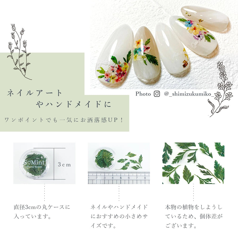 SMint - Leaf (LE-7)
