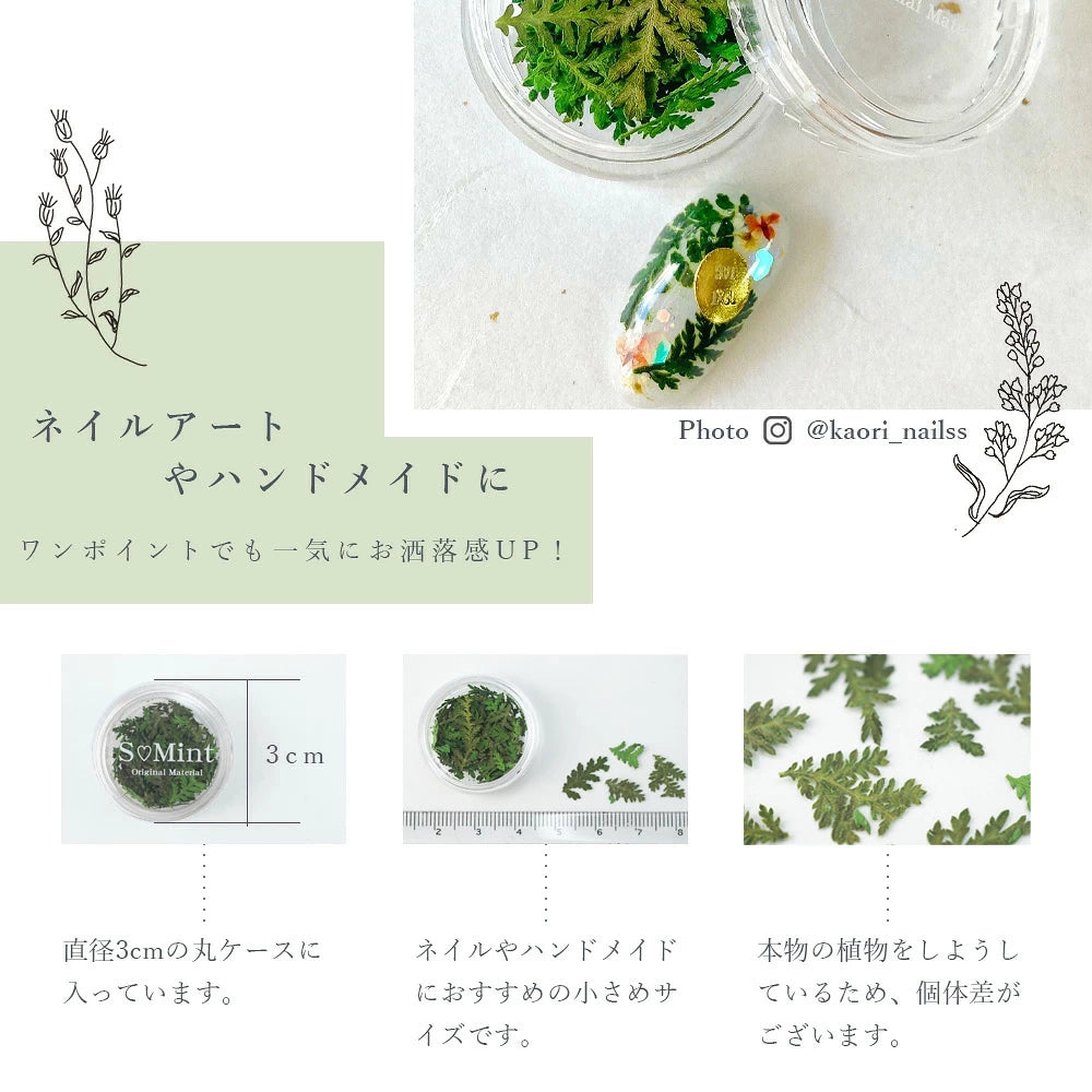 SMint - Leaf (LE-8)