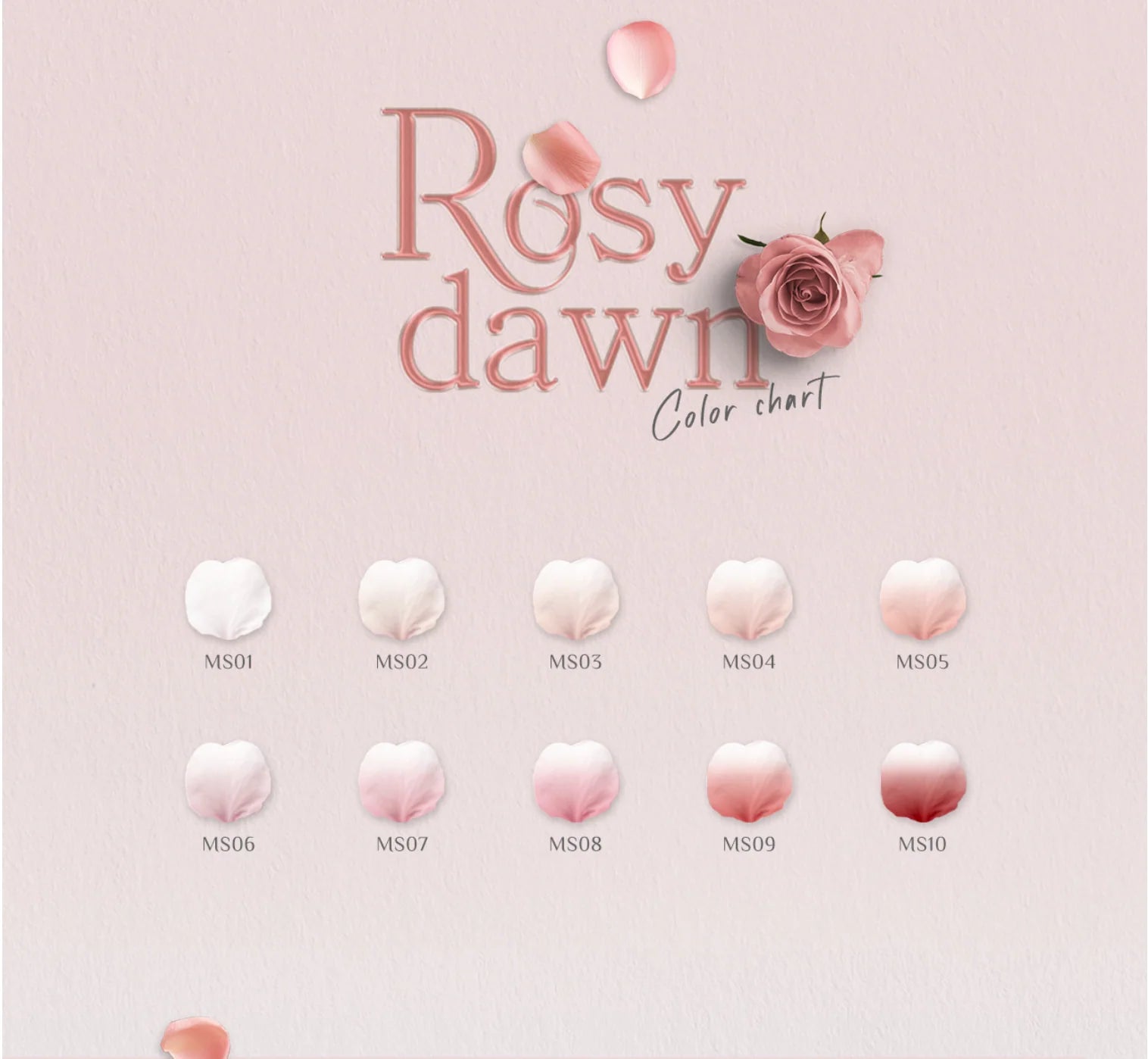 Mithmillo Signature Polish Gel Rosydawn Series (10 Types RD01-RD10)
