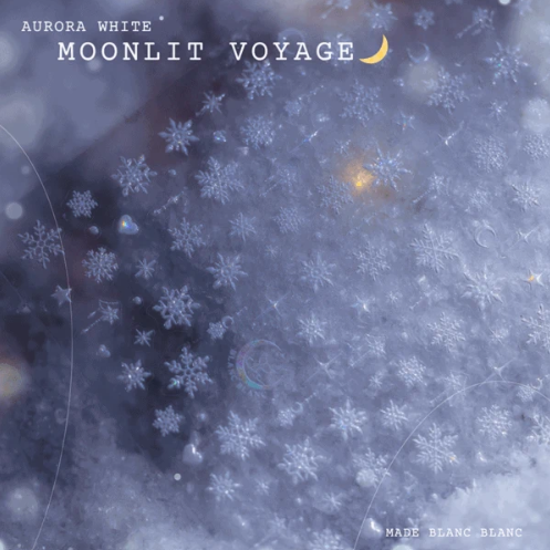 Blanc Blanc - s532 - s540 (The Moment of First Snow Falling in Sapporo Sticker & Cruise Under the Stars Stickers)