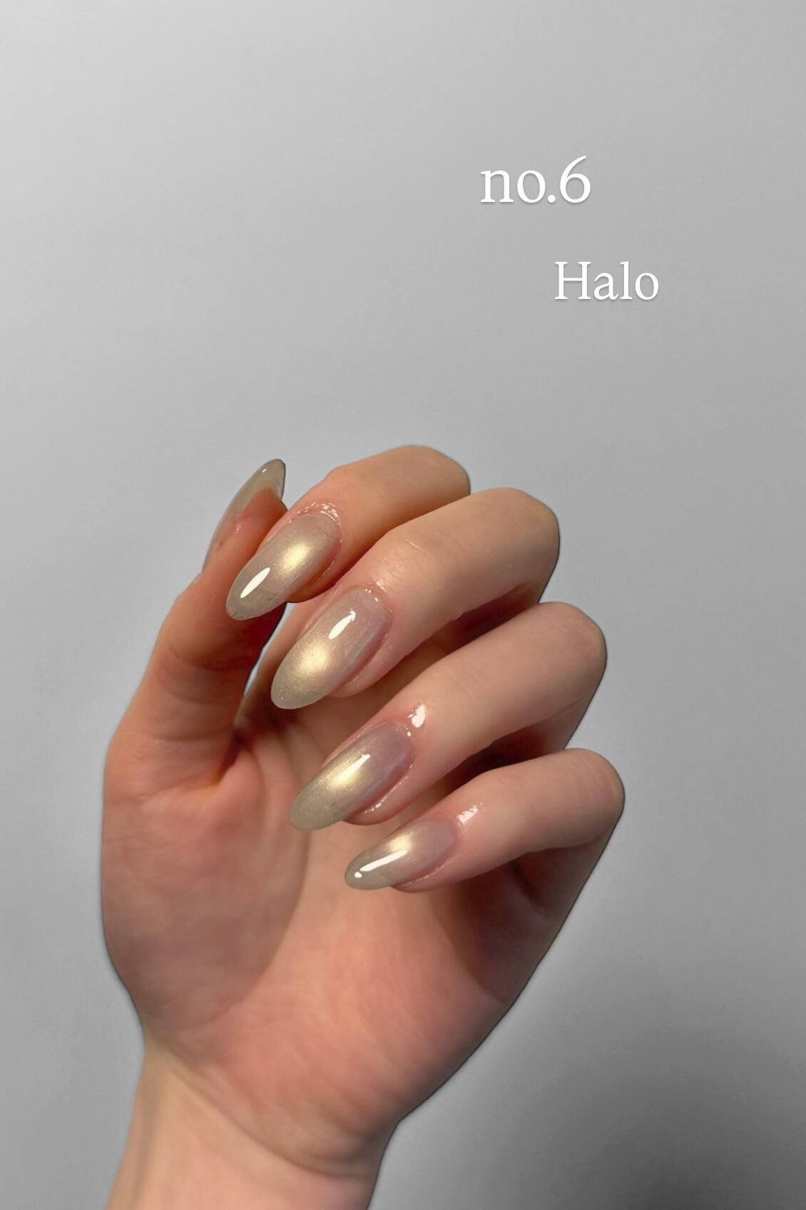 eel - Sialo Mag Set (8pcs)