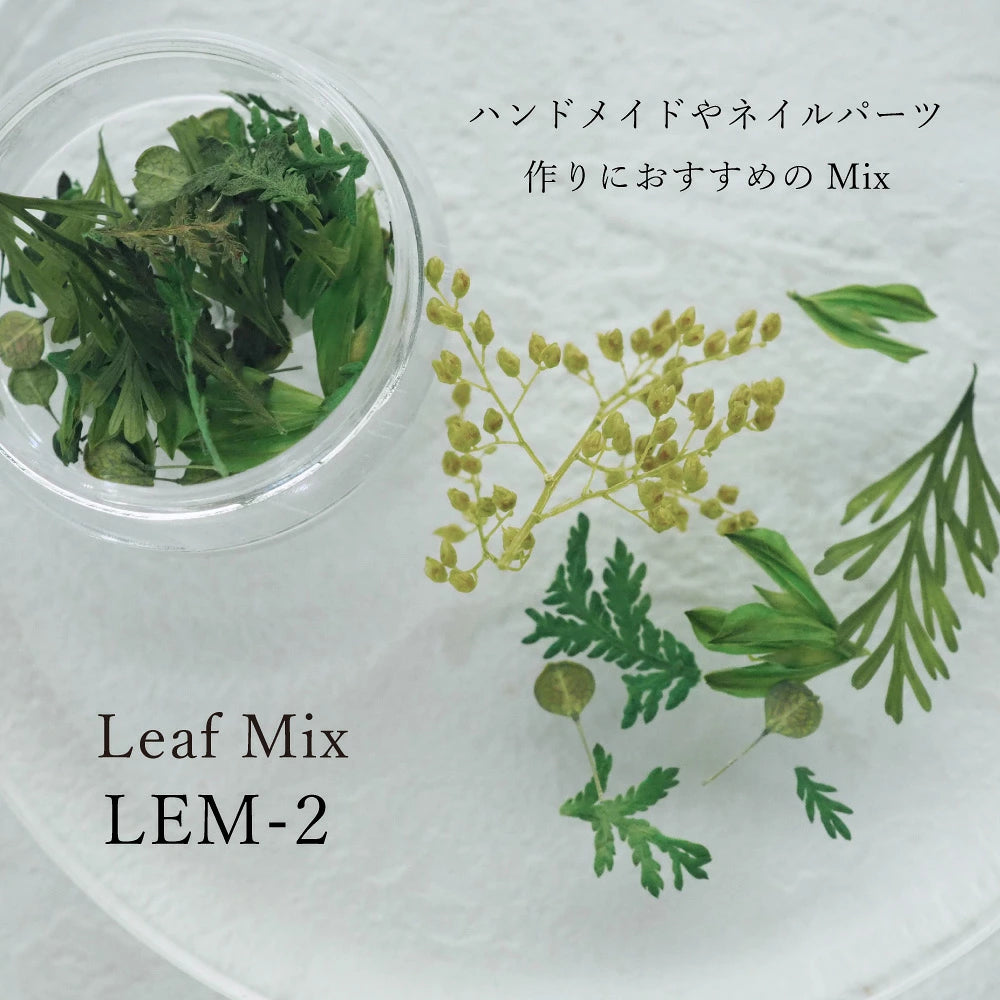 SMint - Leaf Mix (2 types)