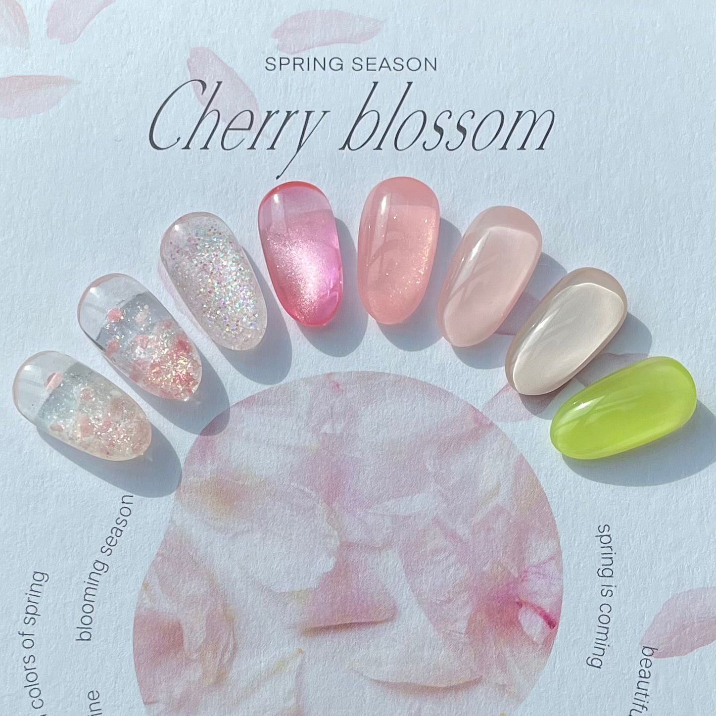 DVOK Cherry Blossom Collection