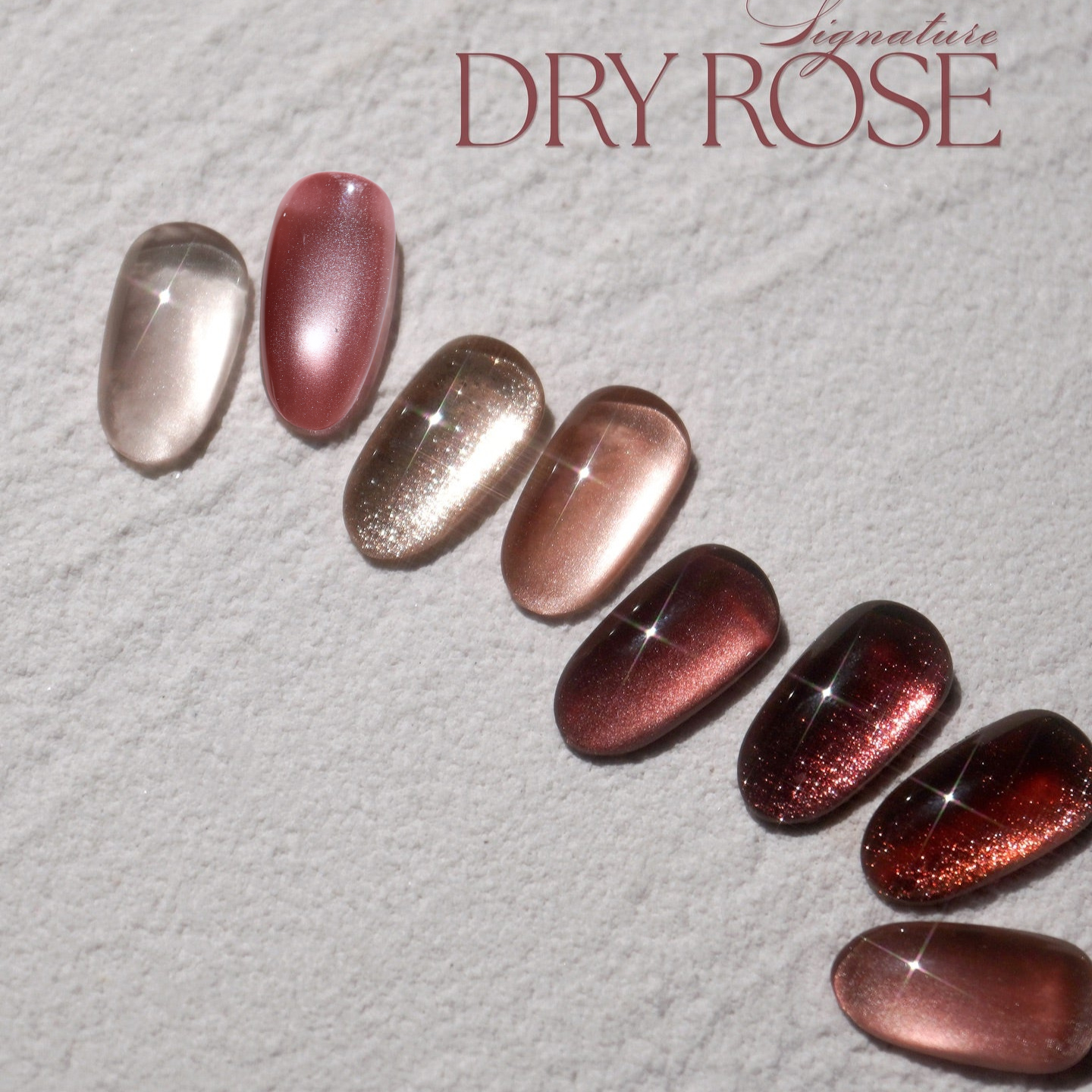 DGEL Signature Dry Rose Collection (Individual Colors/Set)