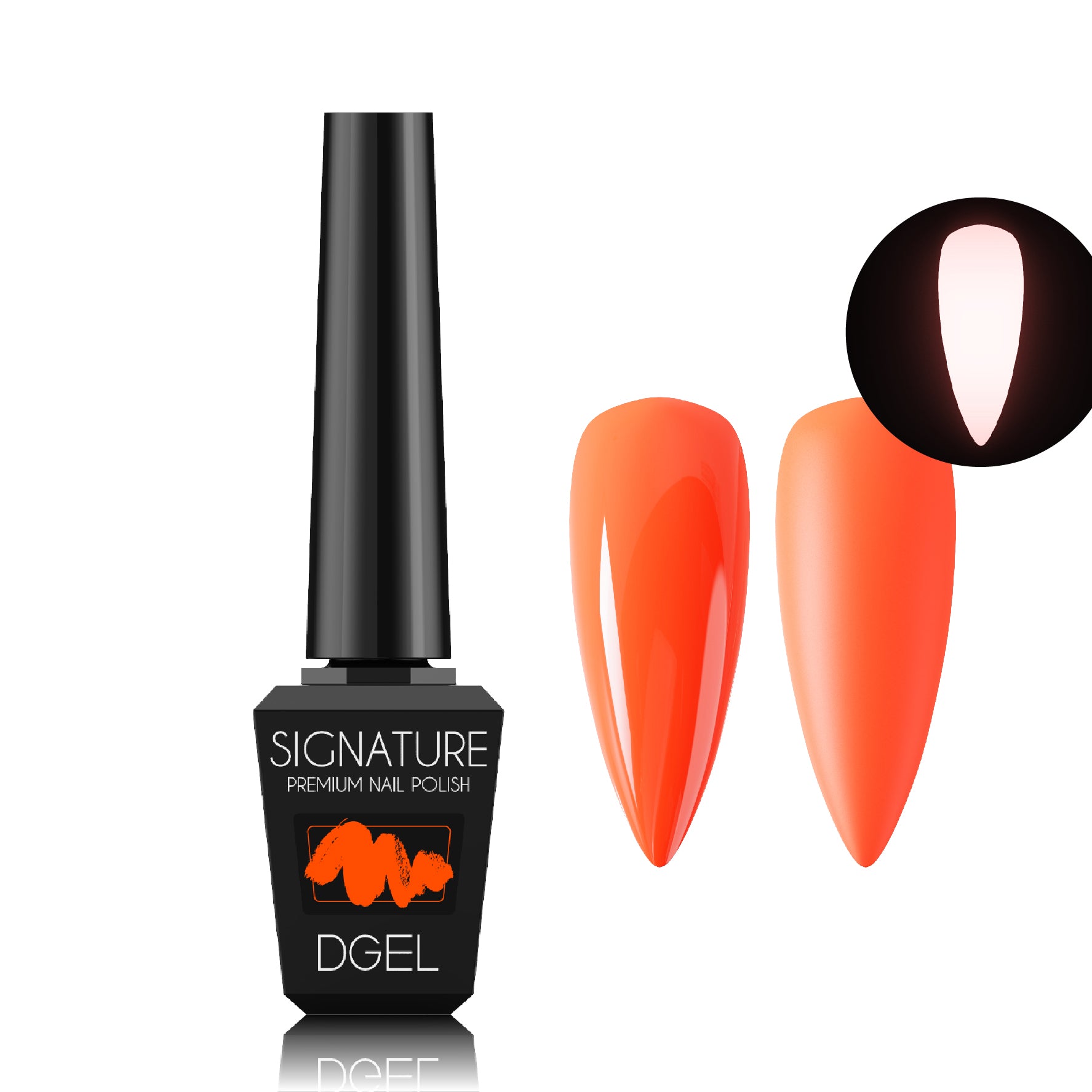 DGEL Signature City Pop Collection (Individual Colors/Set)
