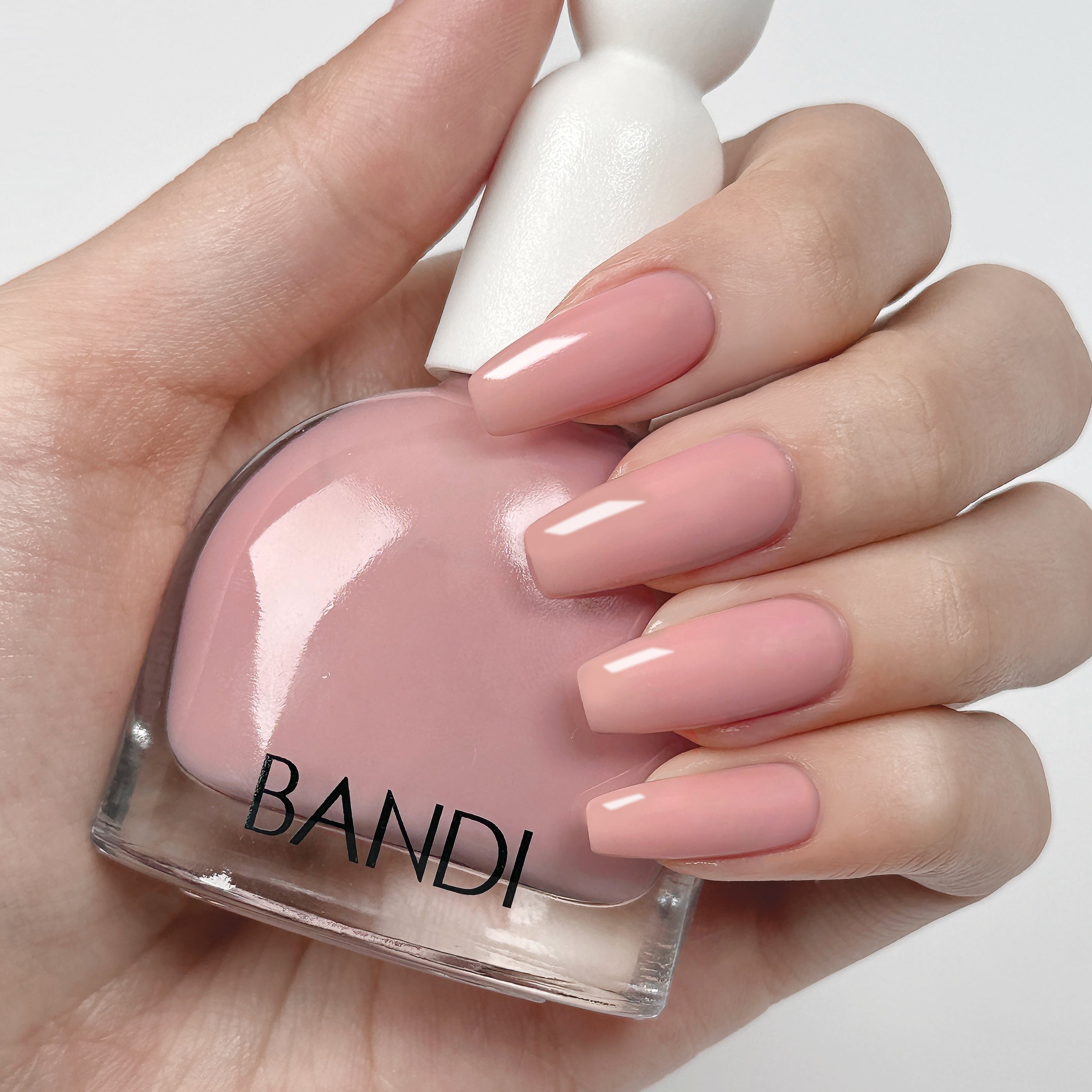 BANDI - Unicorn Pastel Ultra Nature Collection