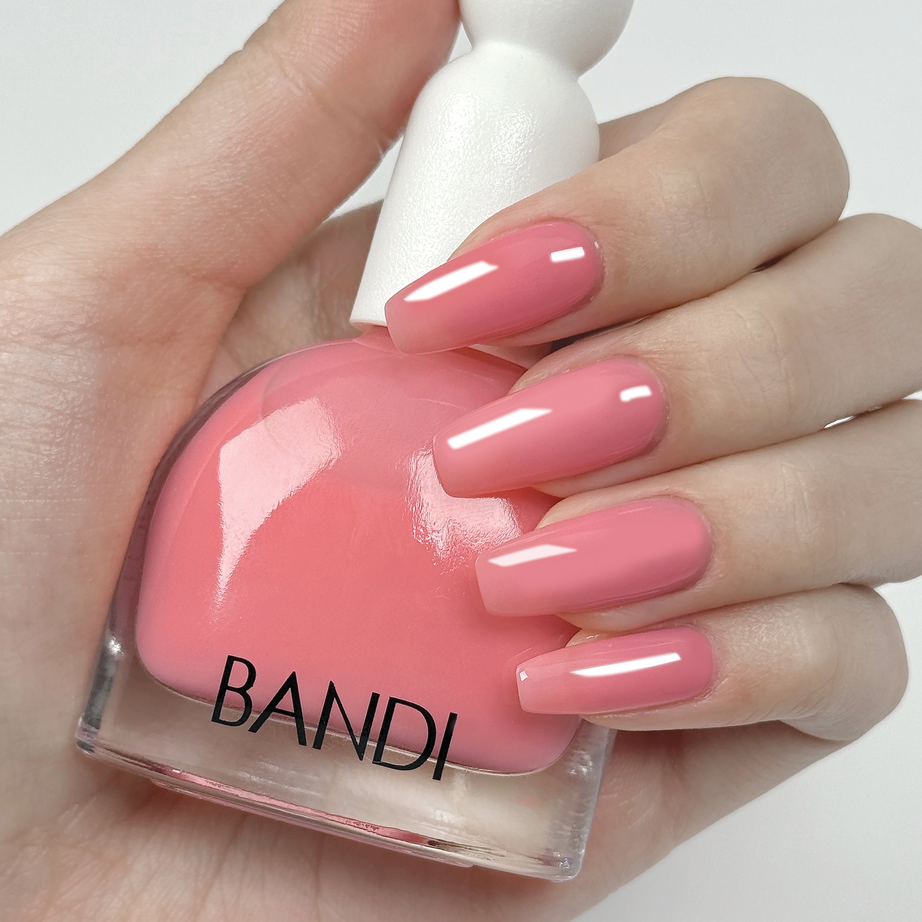 BANDI - Unicorn Pastel Ultra Nature Collection