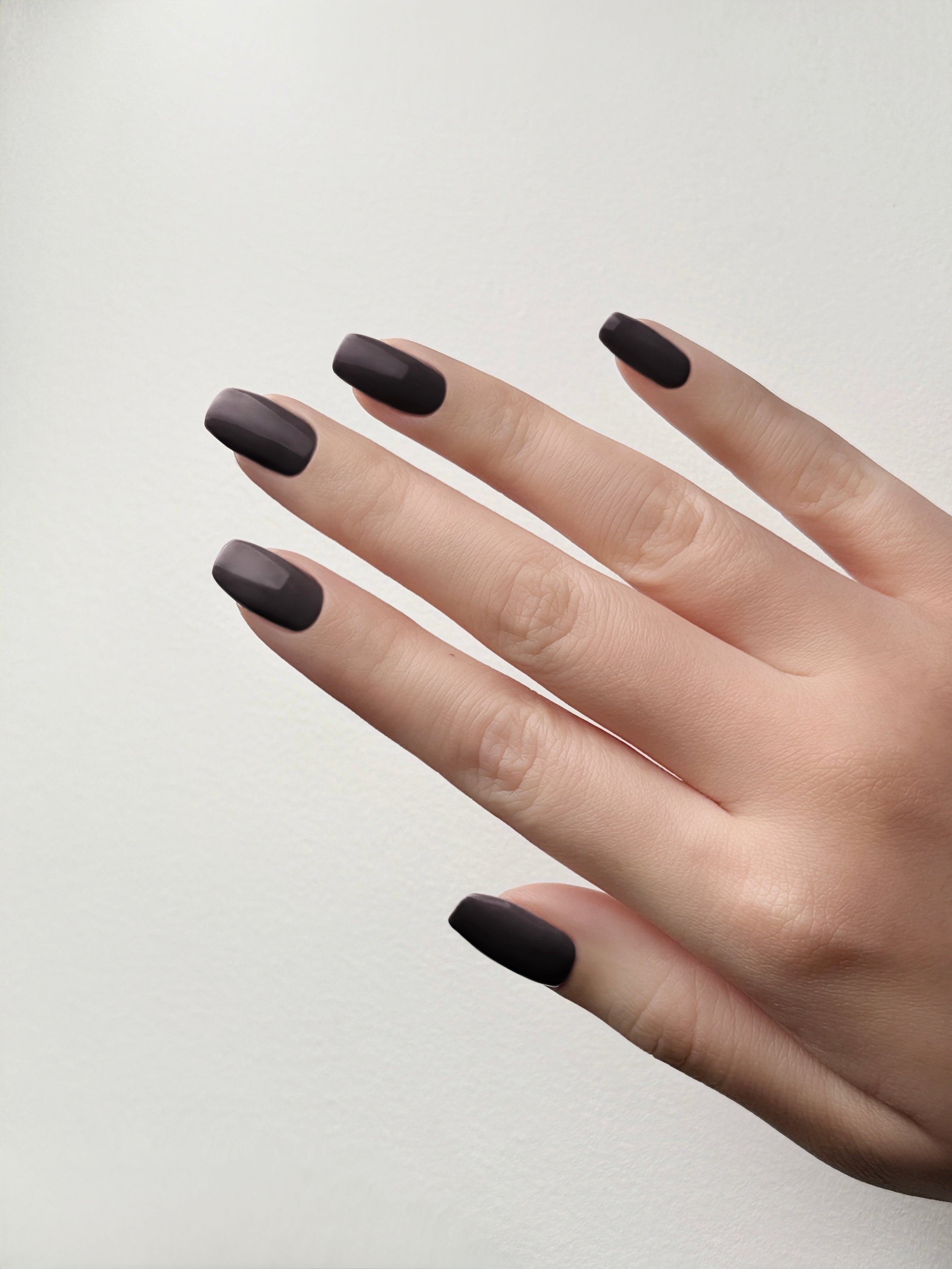 BANDI - Holiday Ultra Nature Winter Collection