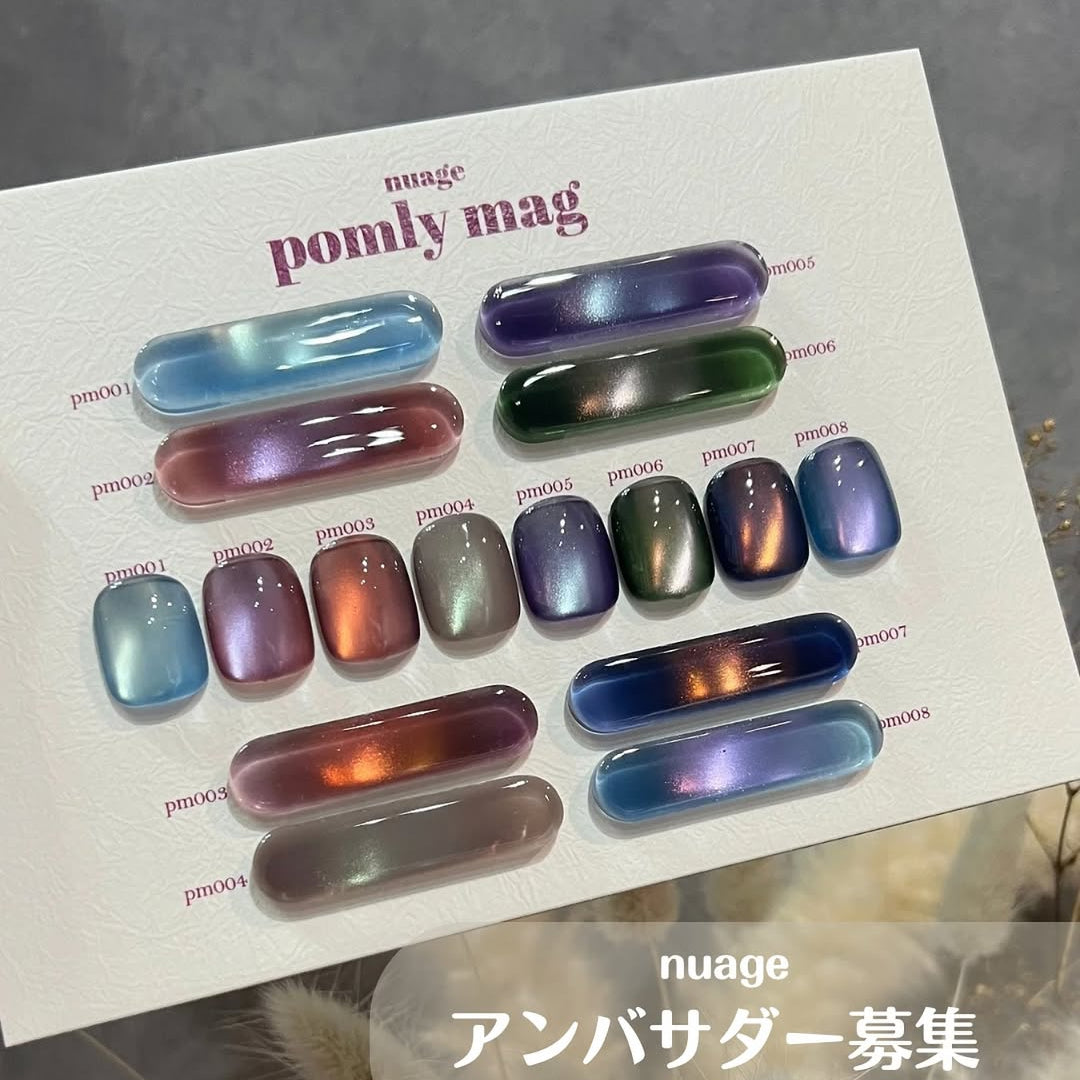Set of nail swatches for magnetic cateye gels from the brand Nuage