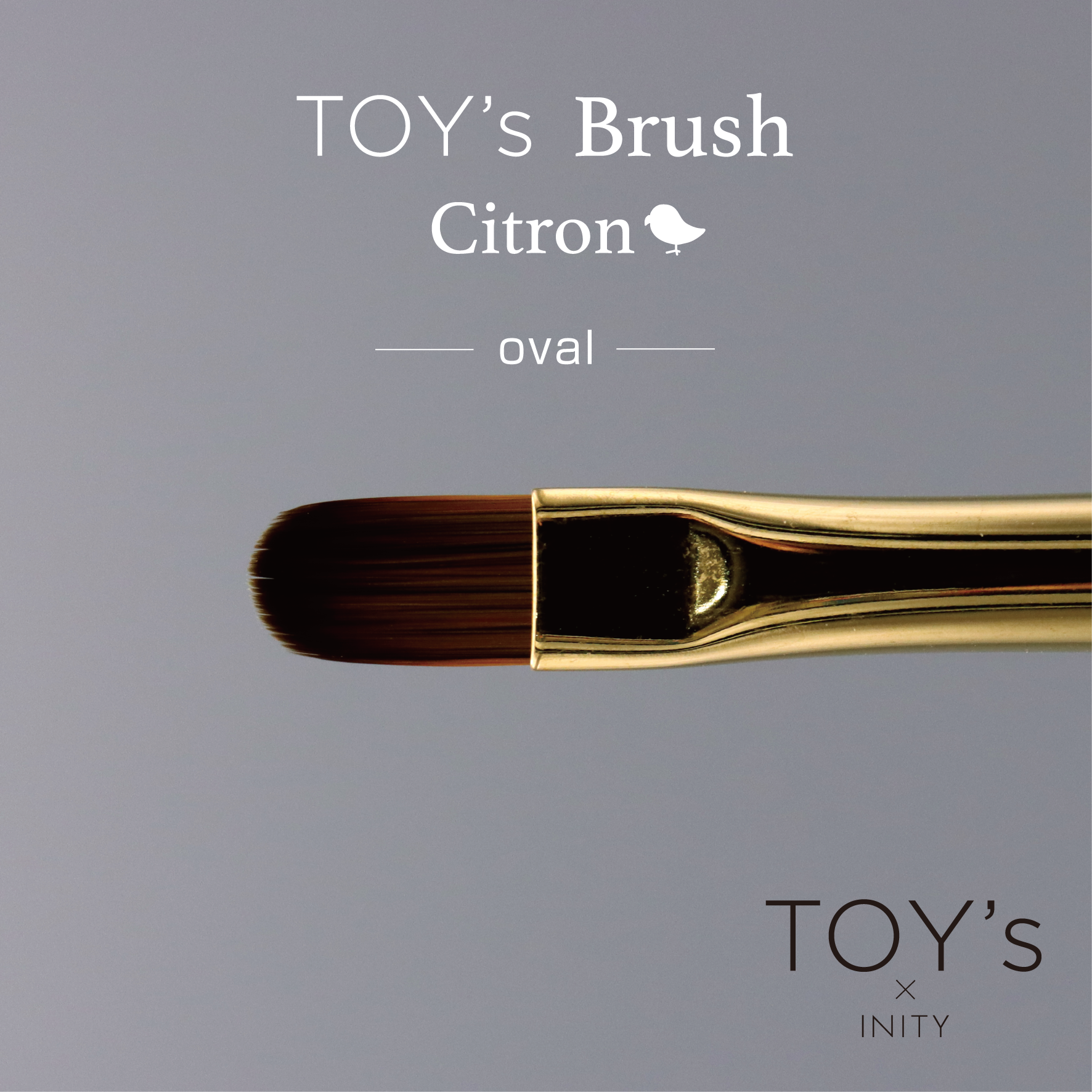 TOY's - Citron Brushes