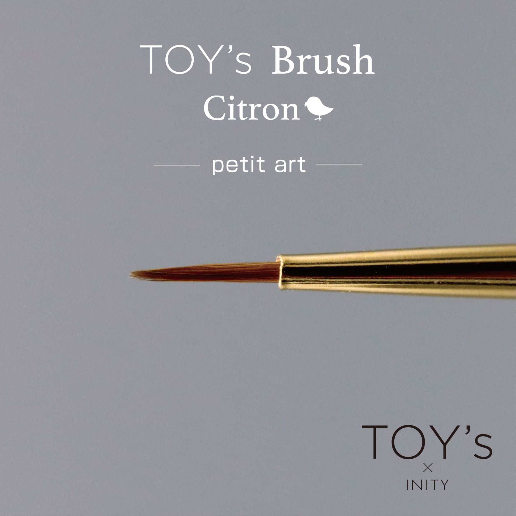TOY's - Citron Brushes