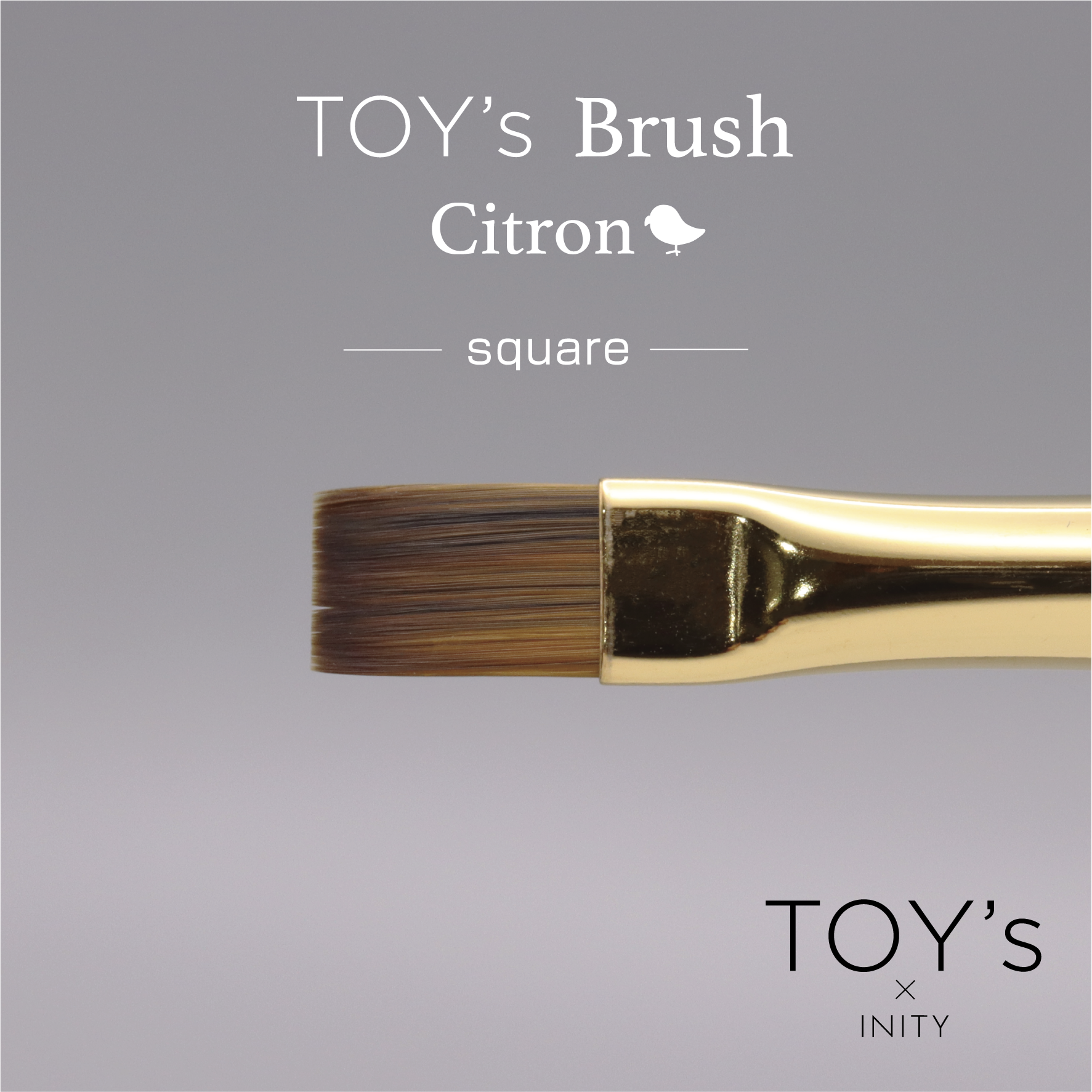 TOY's - Citron Brushes