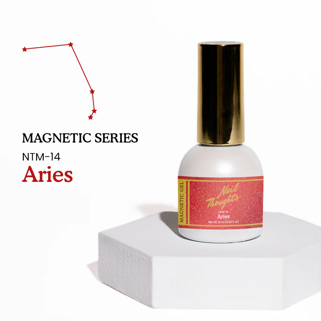 Kokoist - Nail Thoughts Zodiac Flash Magnetic Gel Collection