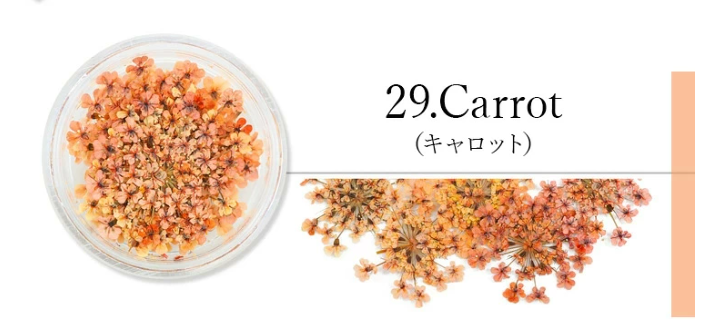 SMint - Lace Flower #29 Carrot