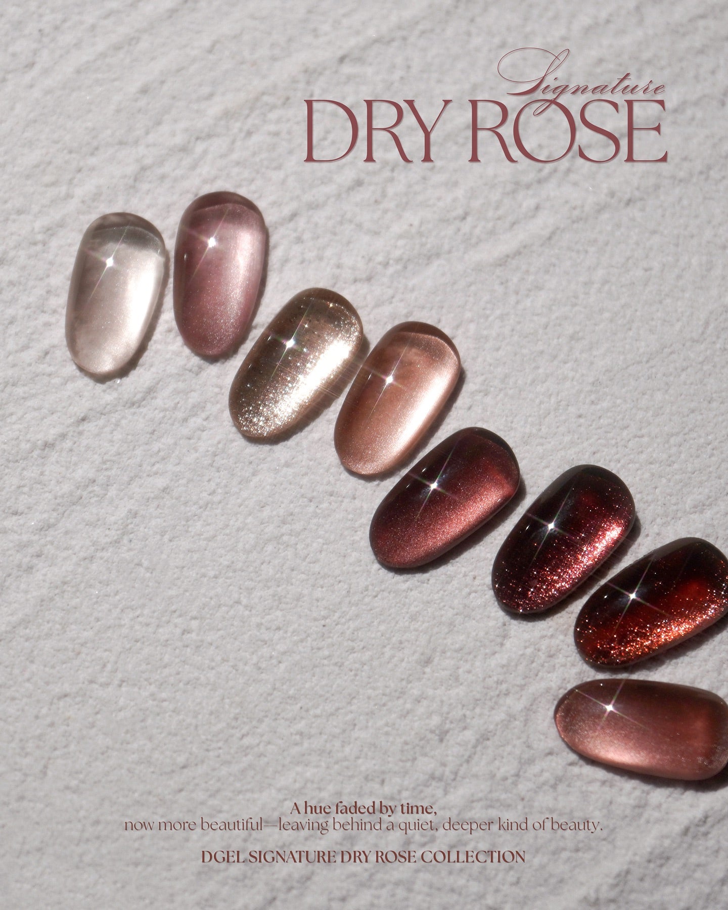 DGEL Signature Dry Rose Collection (Individual Colors/Set)
