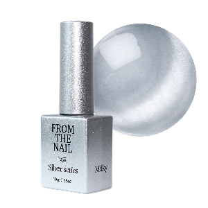 From the Nail - Silver Magnet Gel Series (FG.212-216)