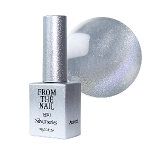 From the Nail - Silver Magnet Gel Series (FG.212-216)