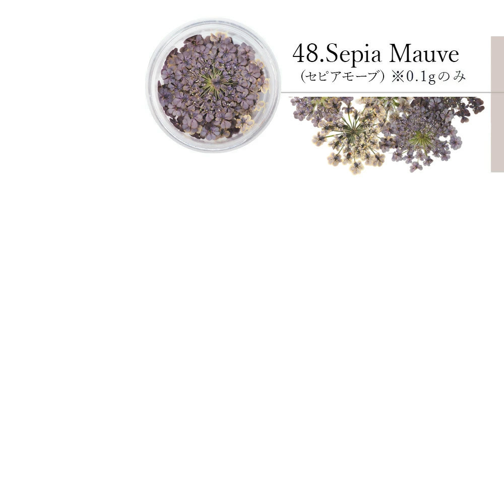SMint - Lace Flower #48 Sepia Mauve