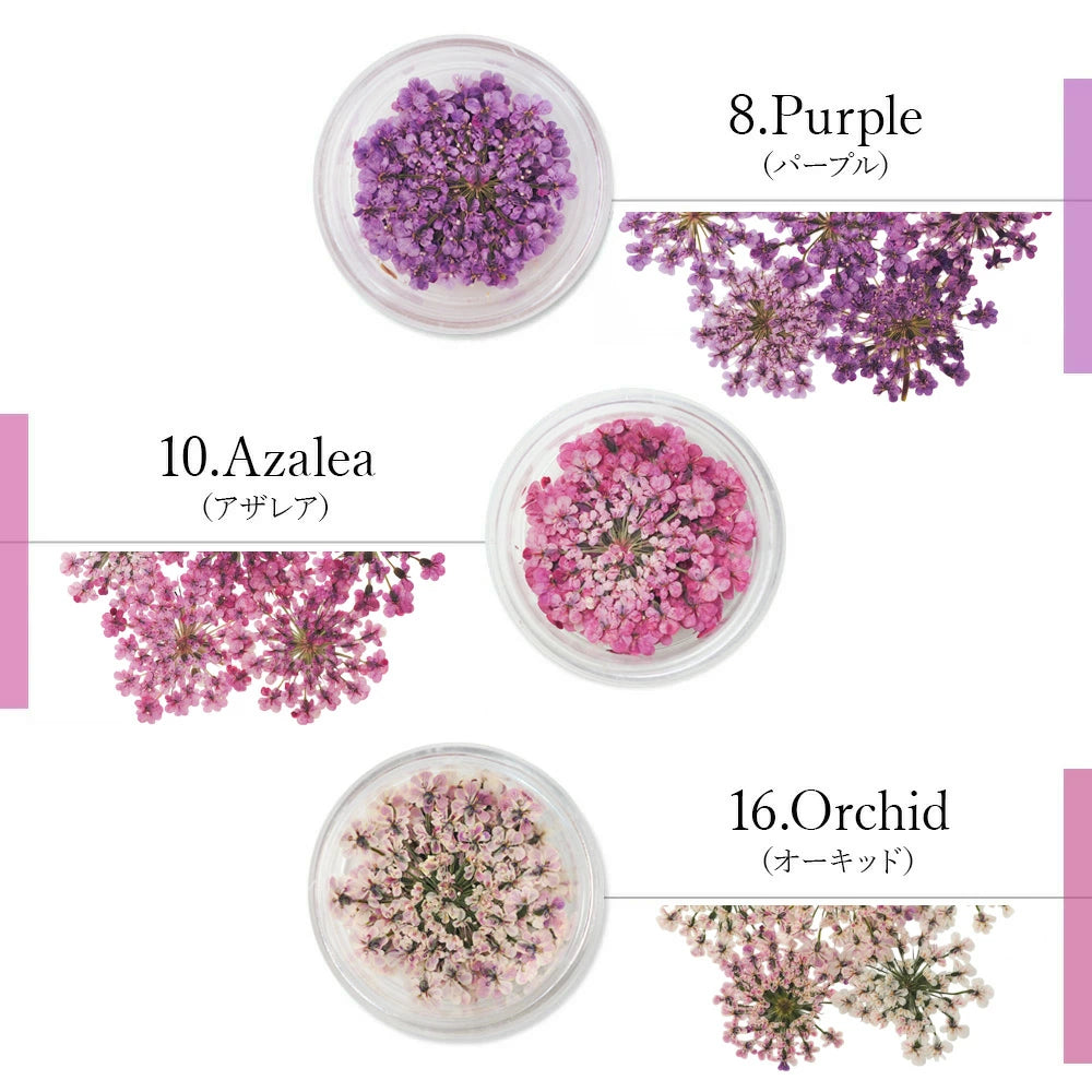 SMint - Lace Flower #8 Purple