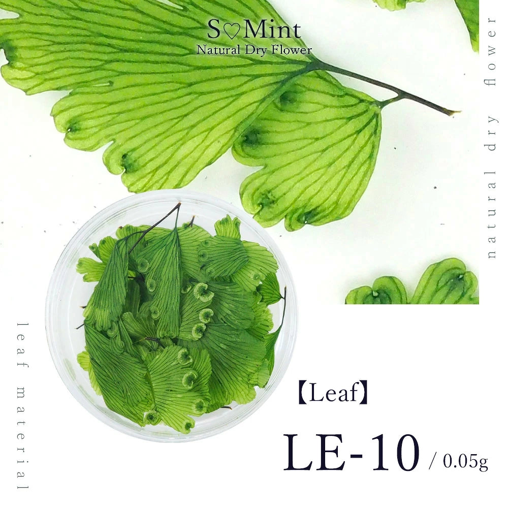 SMint - Leaf (LE-10)