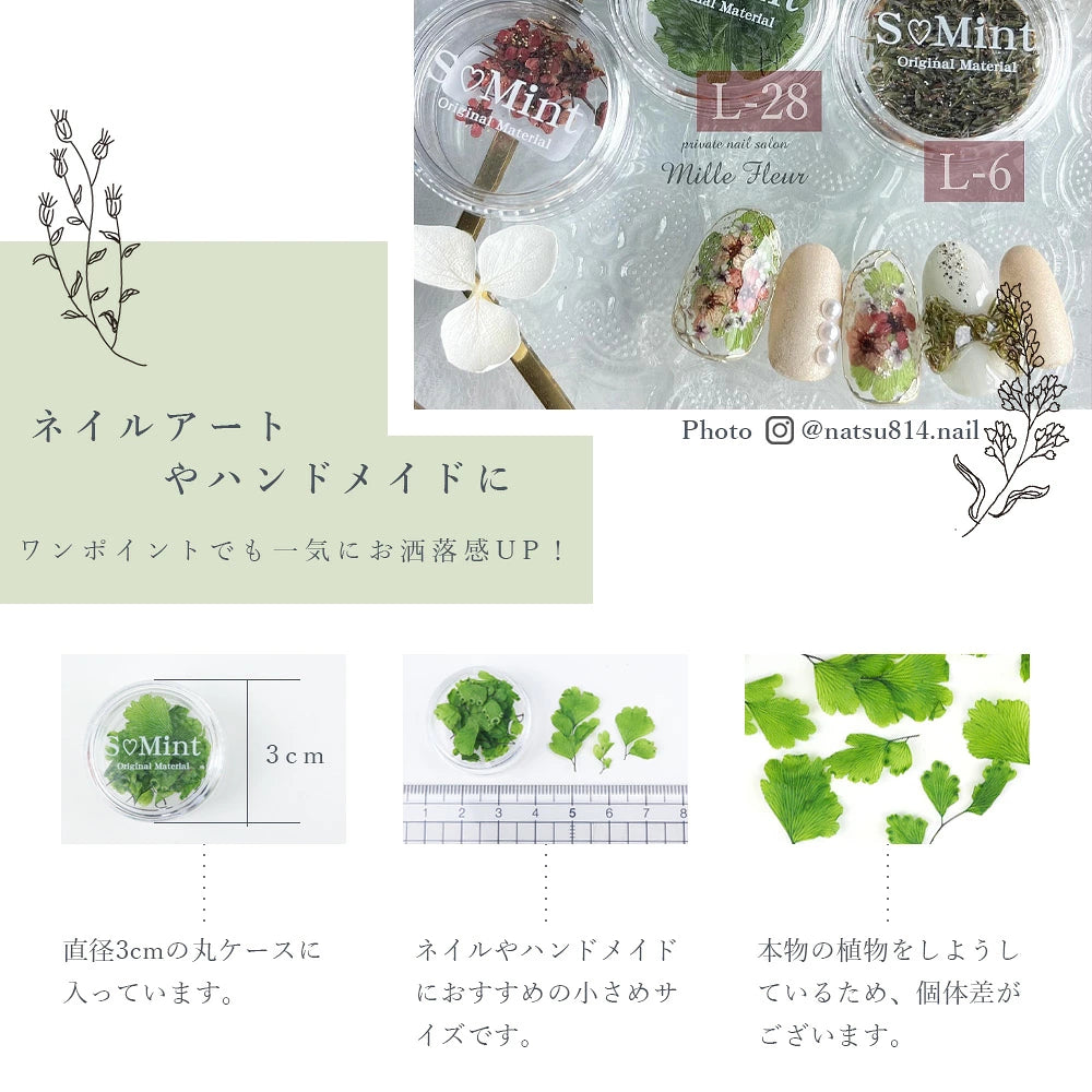SMint - Leaf (LE-10)